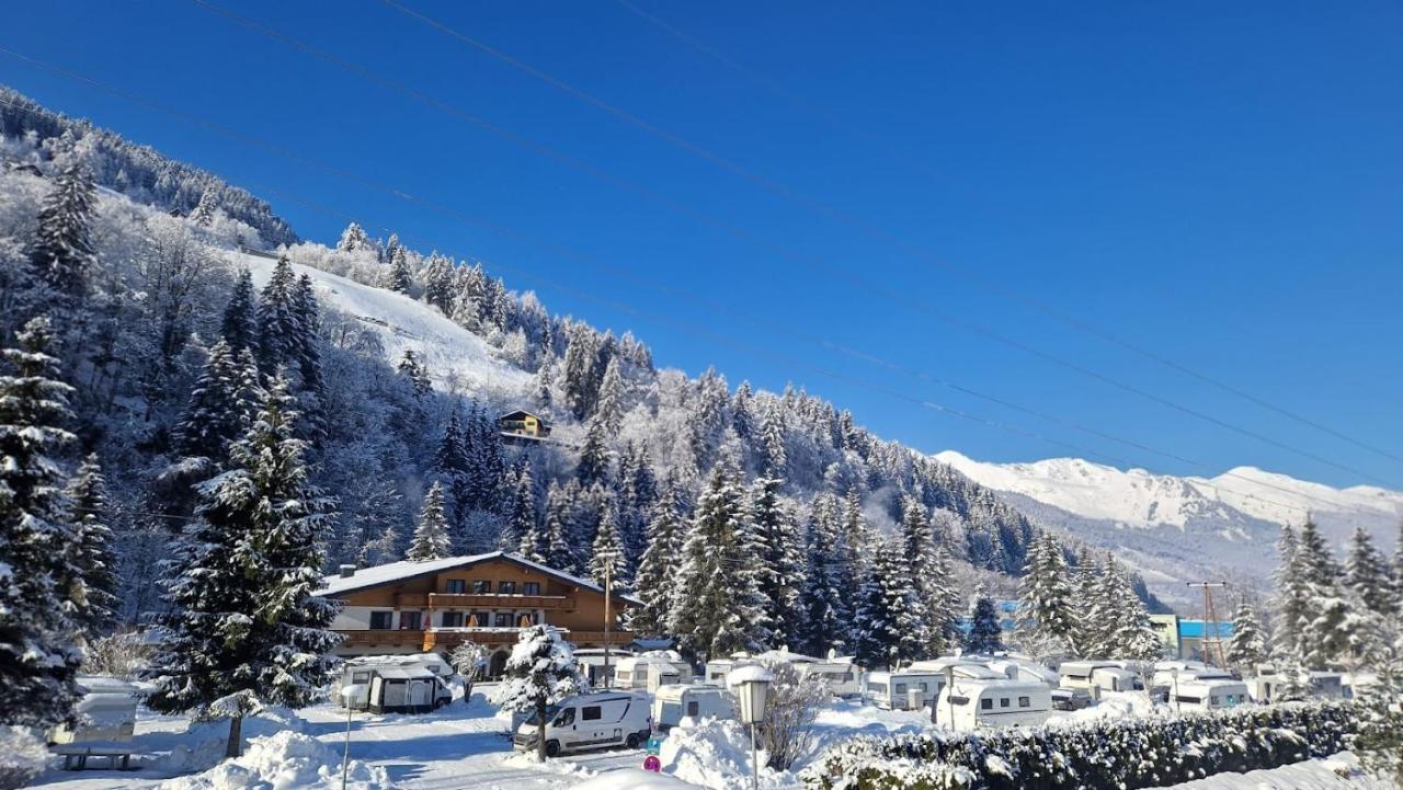 Kur-Camping & Appartementhaus Erlengrund - billede 1