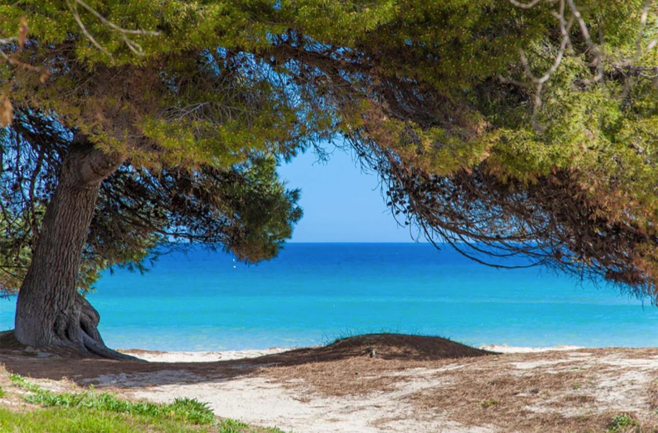 Apartment Countess Garden 2-2, Sun of the Bay Vidalba 2, at Alcudia Beach – billede 5
