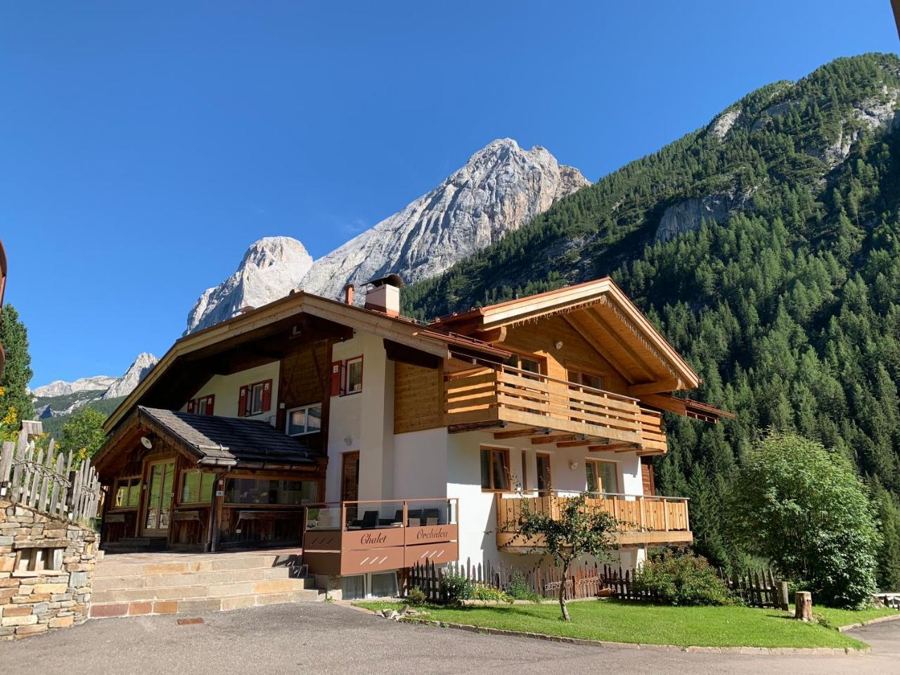 Appartamenti Chalet Orchidea - billede 3