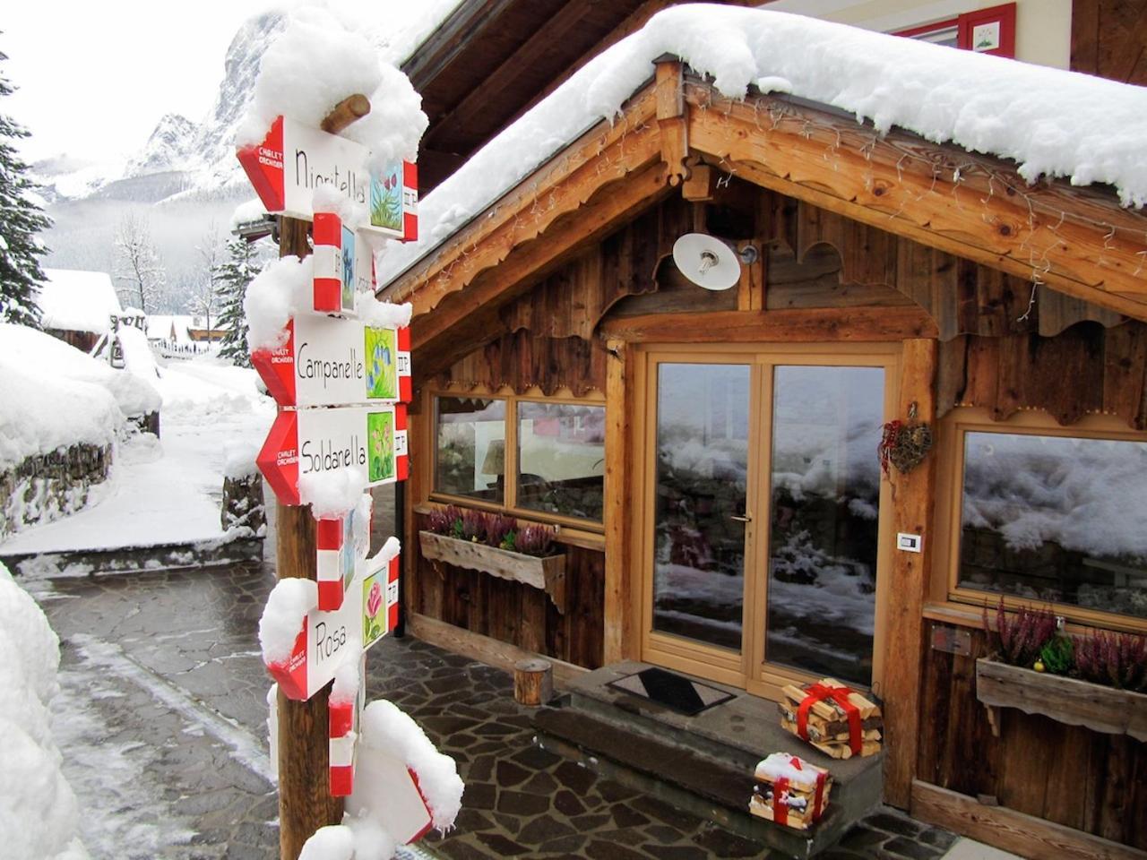 Appartamenti Chalet Orchidea - billede 4