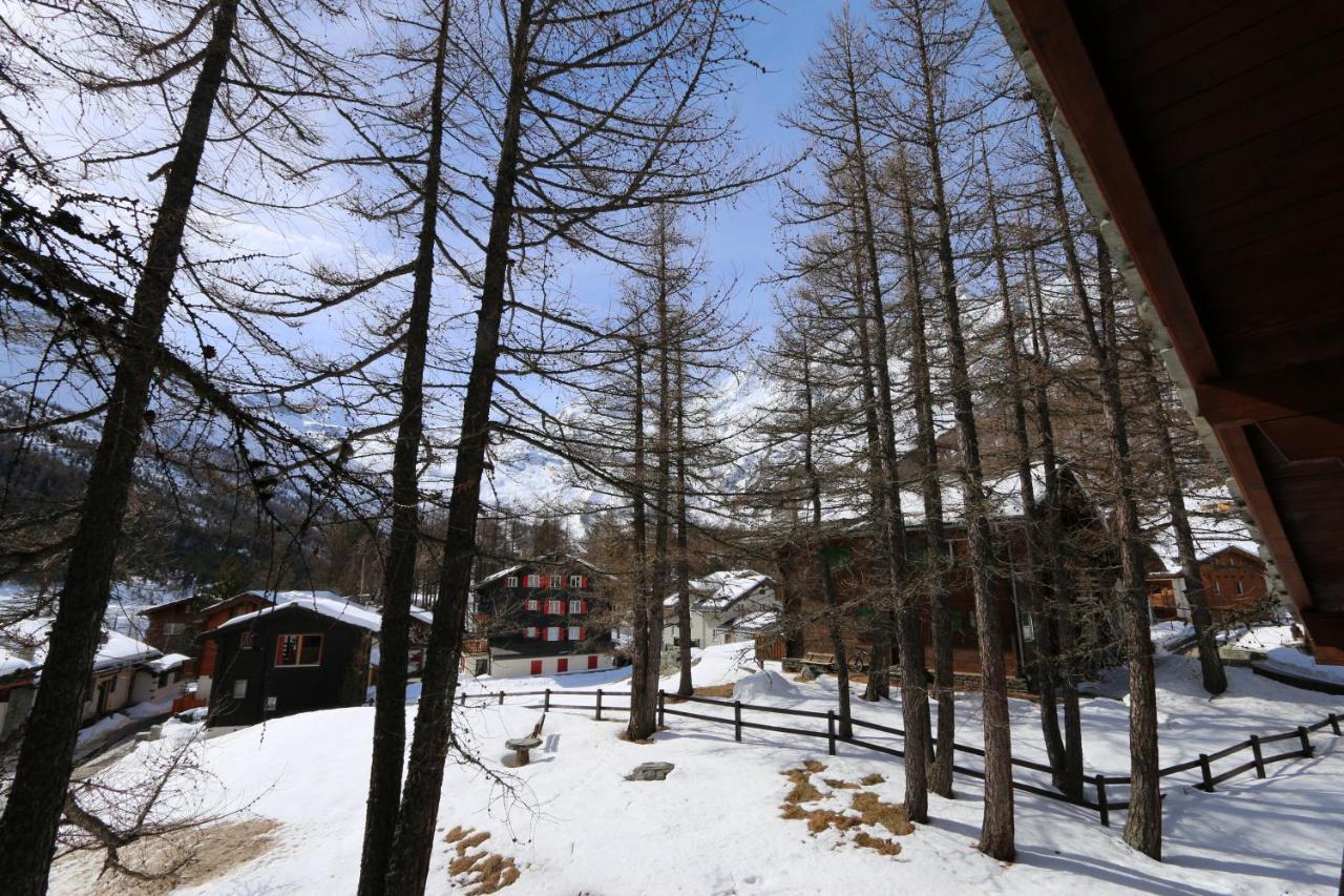 Chalet la Sapiniere - billede 1
