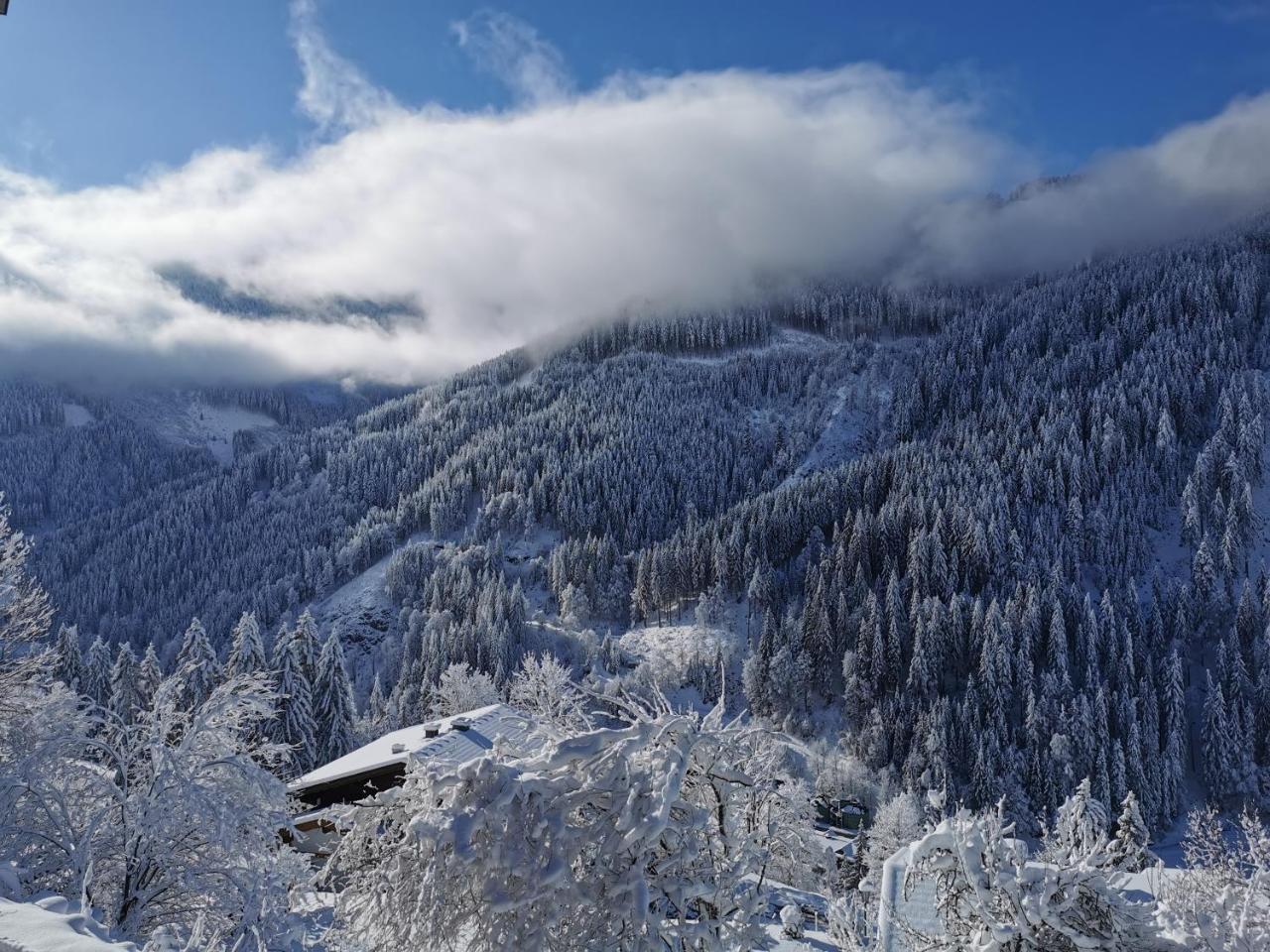 Landhaus Oberzinnegg – billede 3