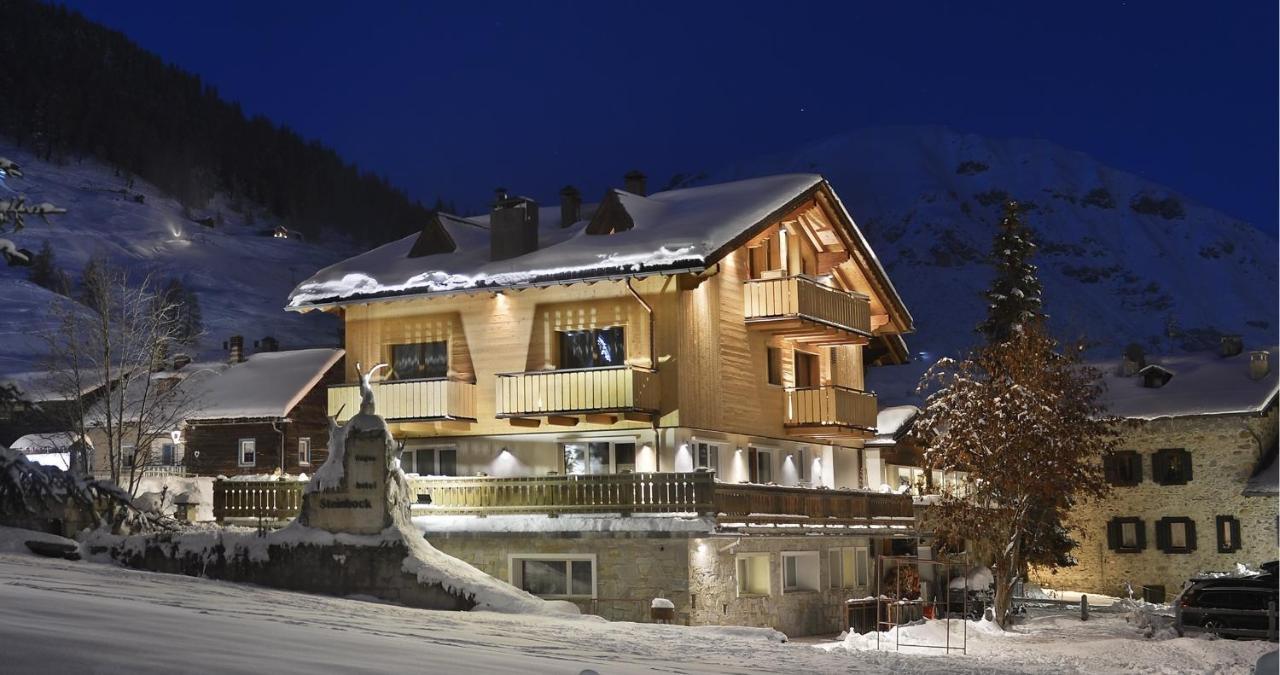Hotel Steinbock - billede 1