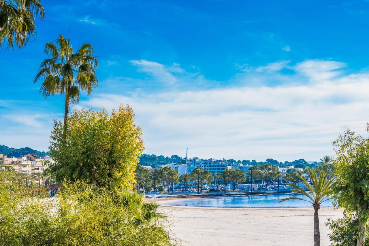 Ideal Property Mallorca - Cittadini 37 - billede 3