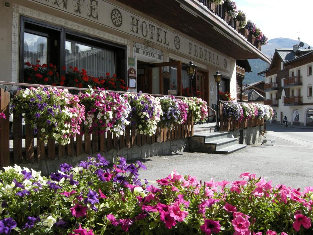 Hotel Federia - billede 1
