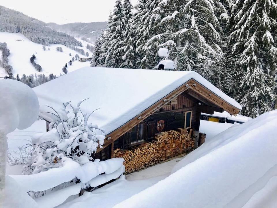Wasserfallhutte Saalbach – billede 4