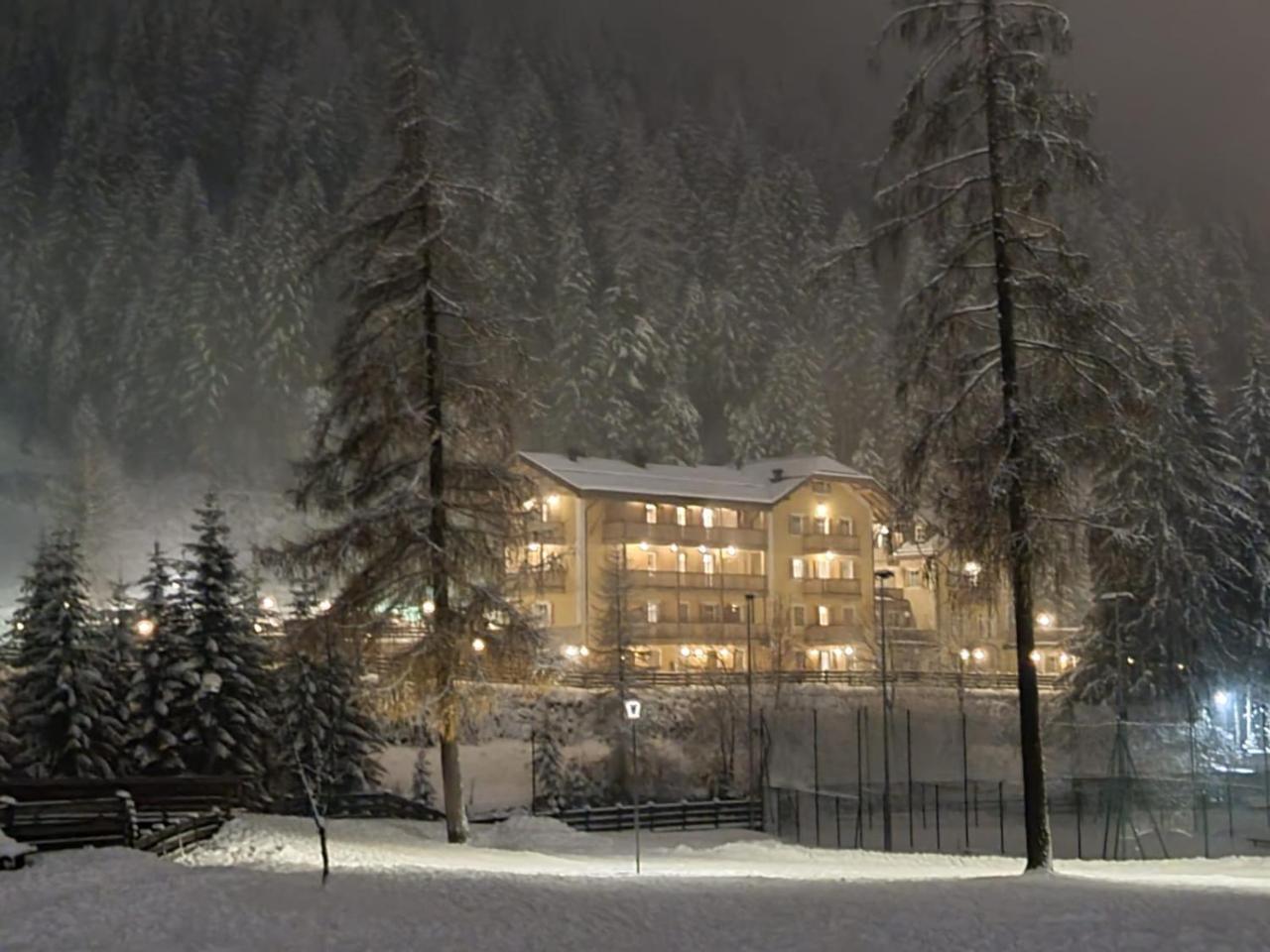 Residence Villa Avisio - billede 1