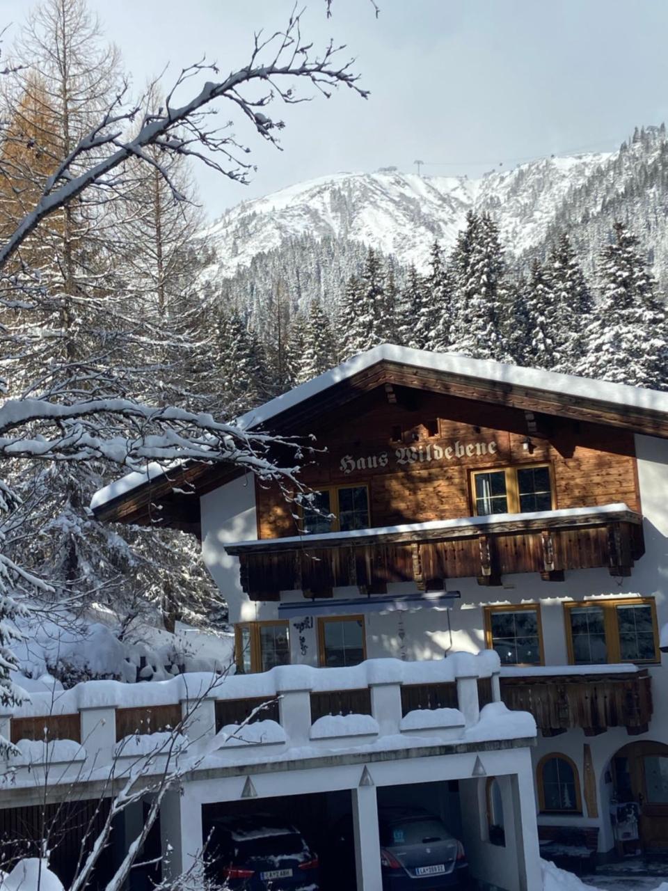 Haus Wildebene – billede 1