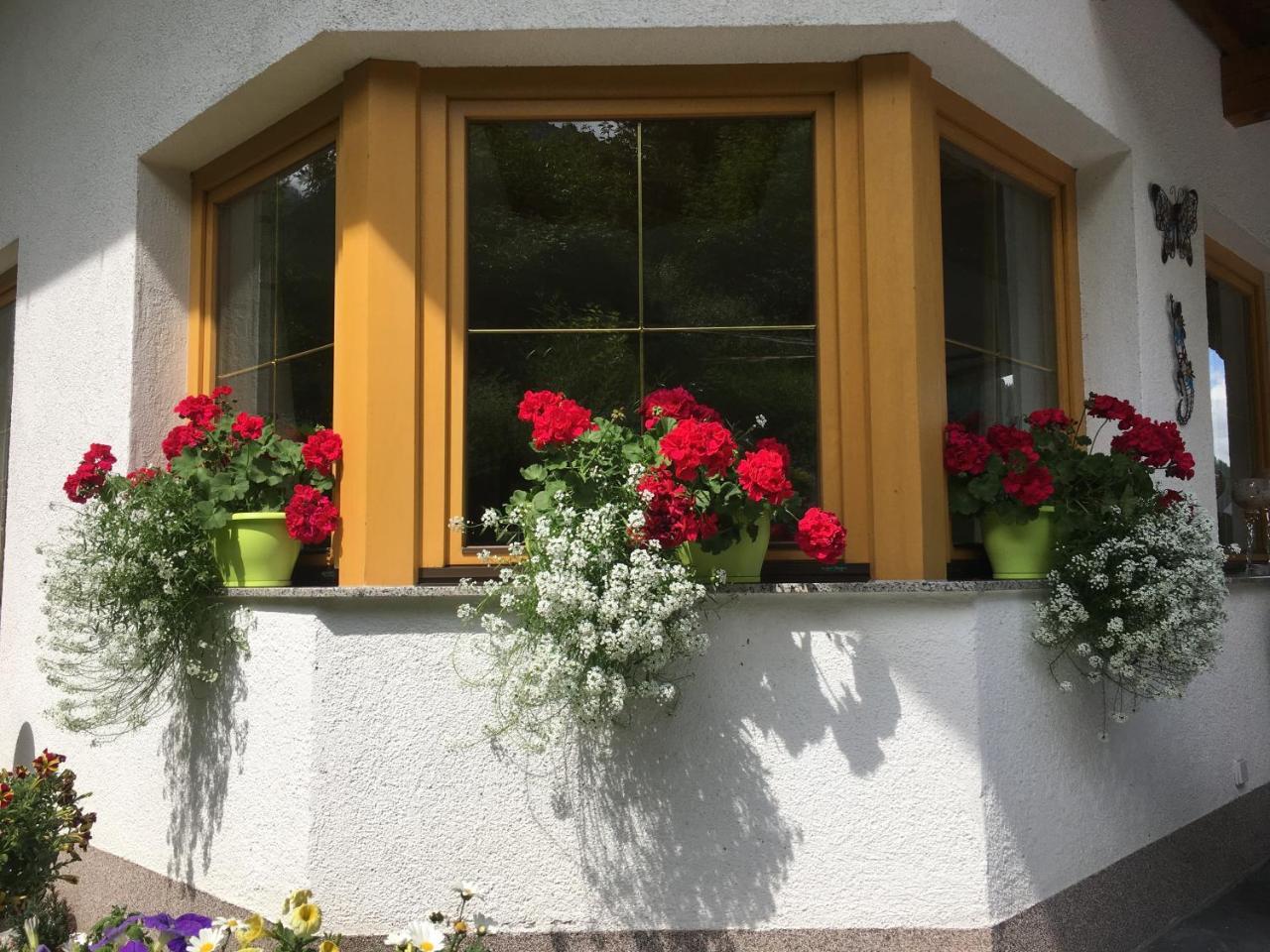 Haus Wildebene – billede 4