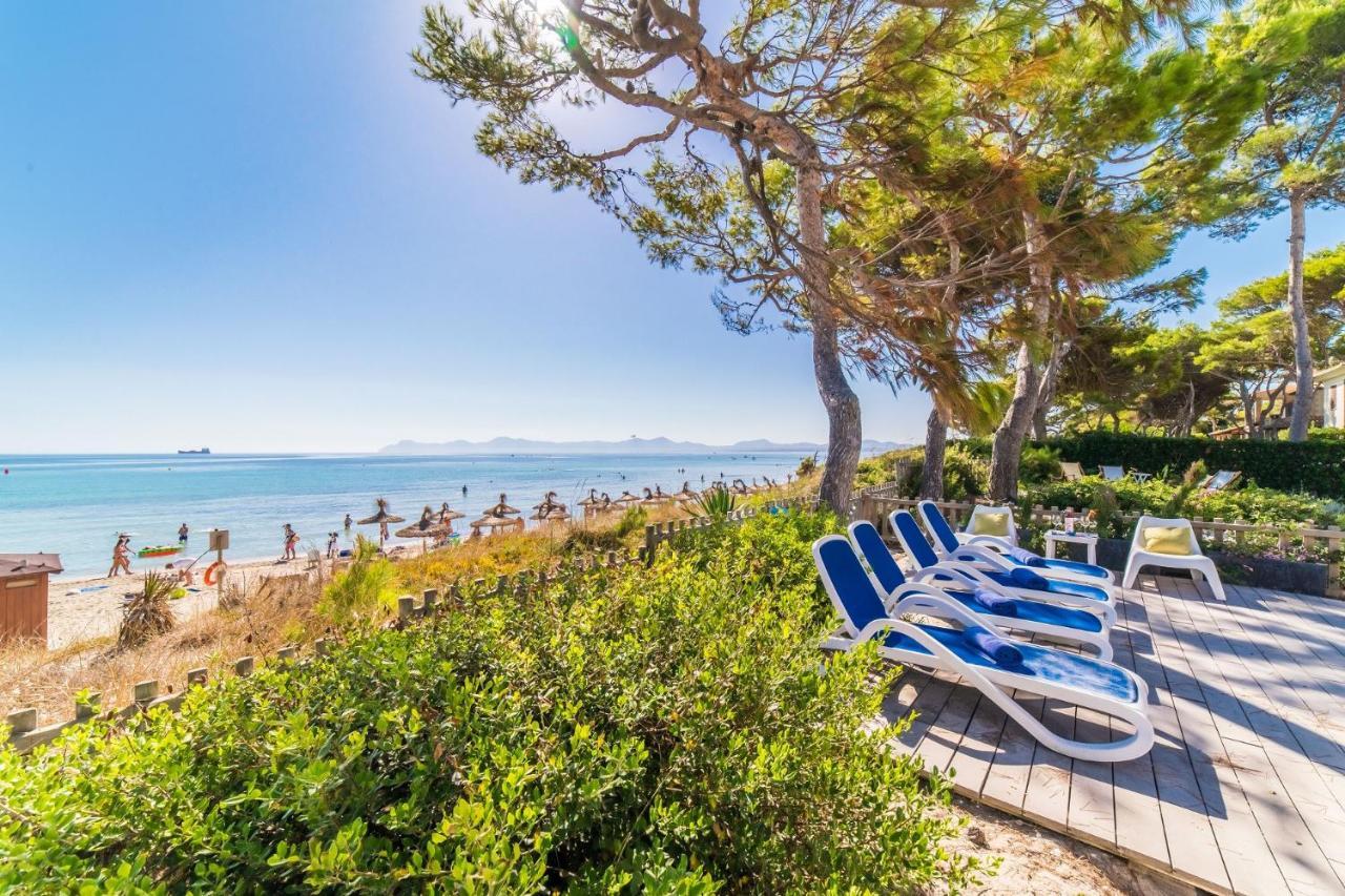 Ideal Property Mallorca - Gaviotas - billede 1