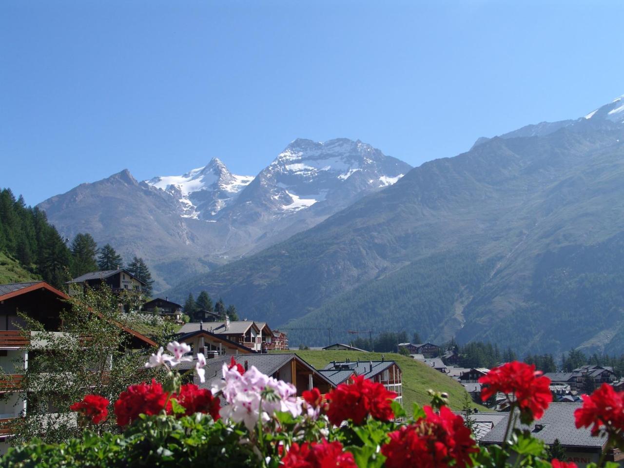 Apartments Alpenfirn Saas-Fee - billede 1