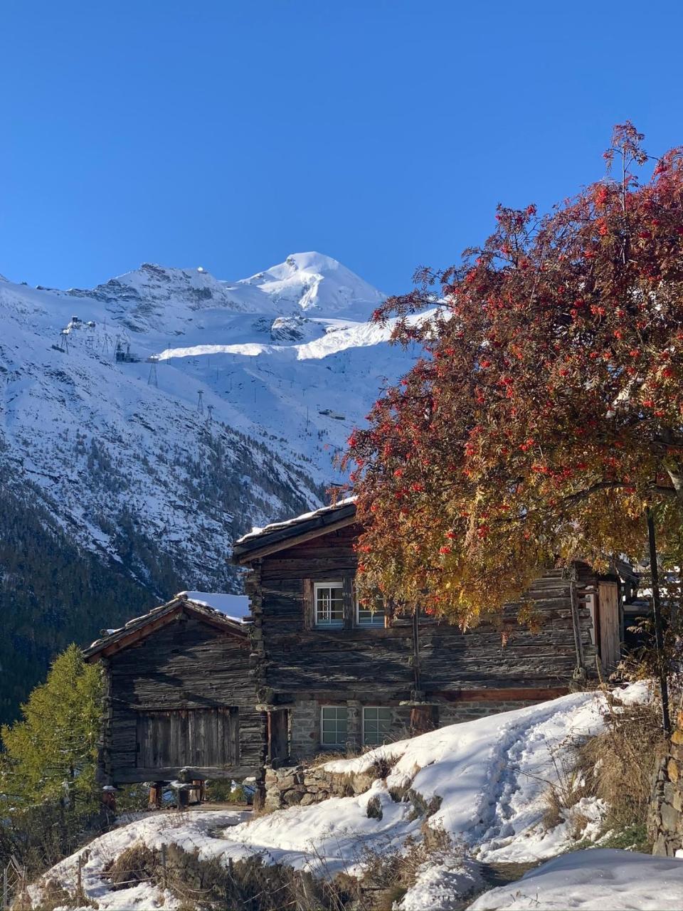 Chalet Birkhahn - billede 2