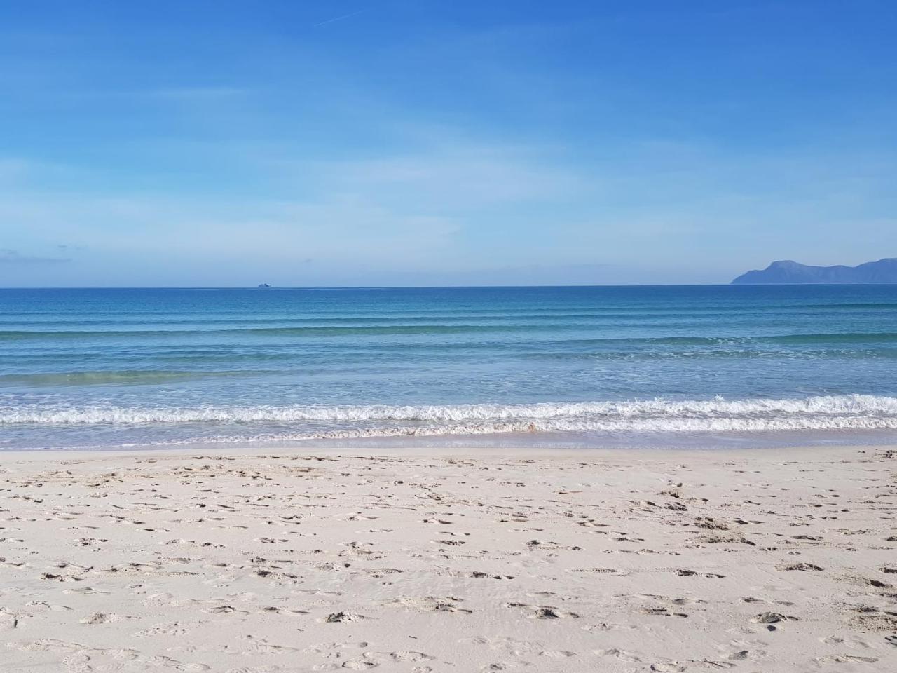 Ideal Property Mallorca - Sa Dalia - billede 2