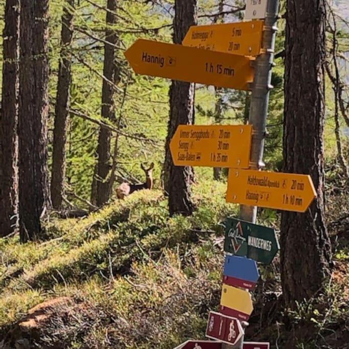 Mirador Auf Der Sonnenterrasse Von Saas-Fee - billede 4
