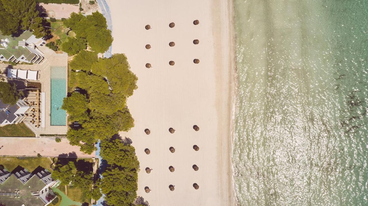 Sofia Alcudia Beach - billede 4