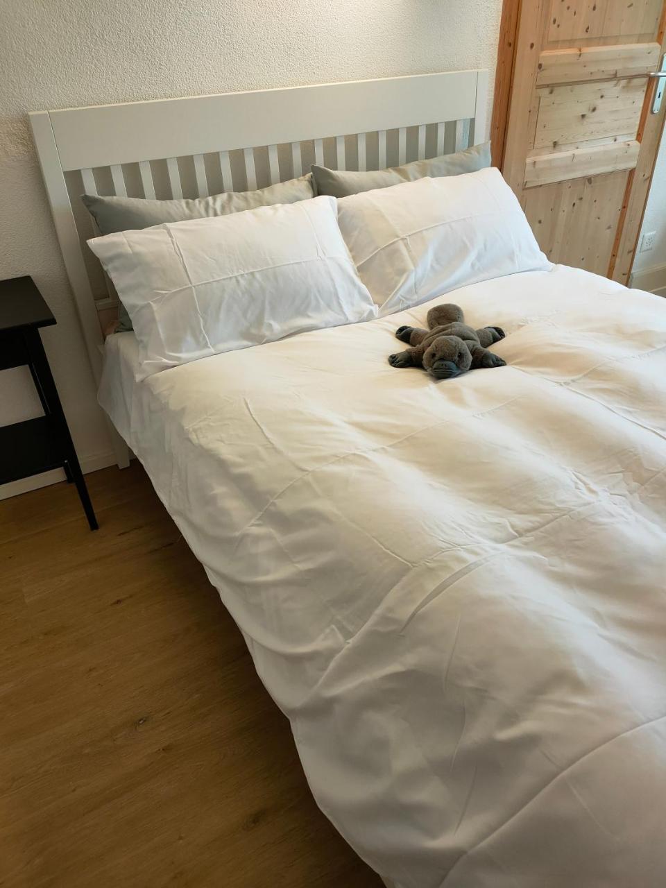 Studio Au Pied de la Telecabine, Saastalcards Saas-Fee - billede 2