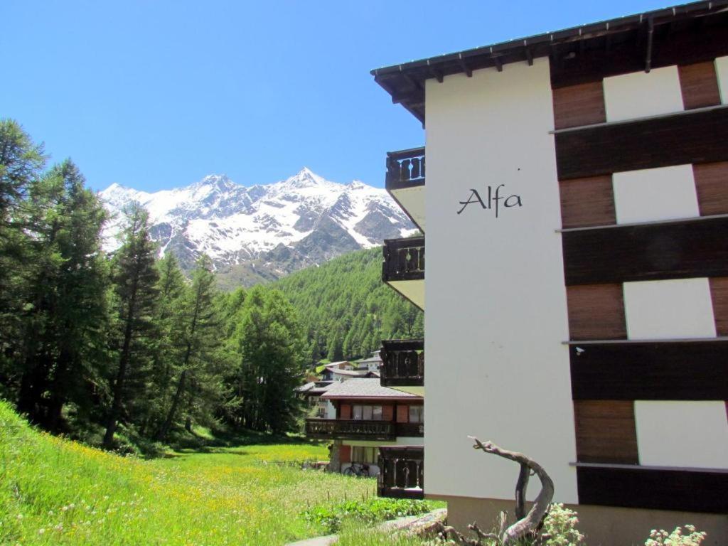 Haus Alfa Studios - billede 1