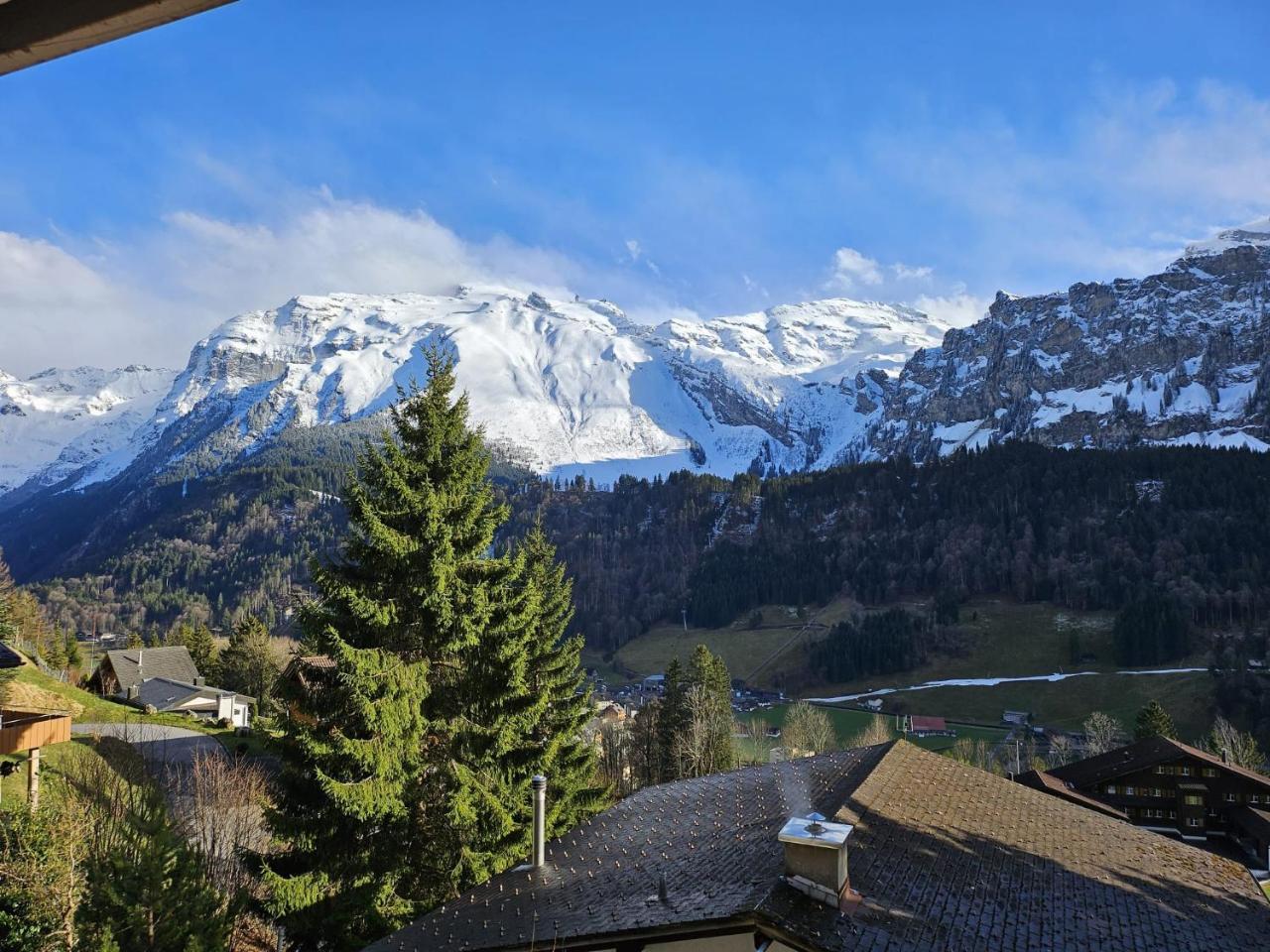 Luxury Escape - Titlis Panorama – bild 1