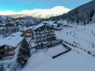 Hotel Alpin - billede 1