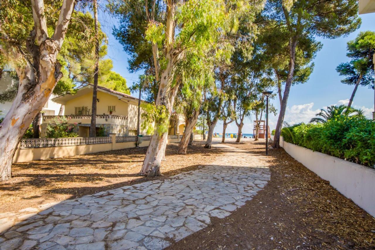 Ideal Property Mallorca - Villa Rosita 12 – billede 5
