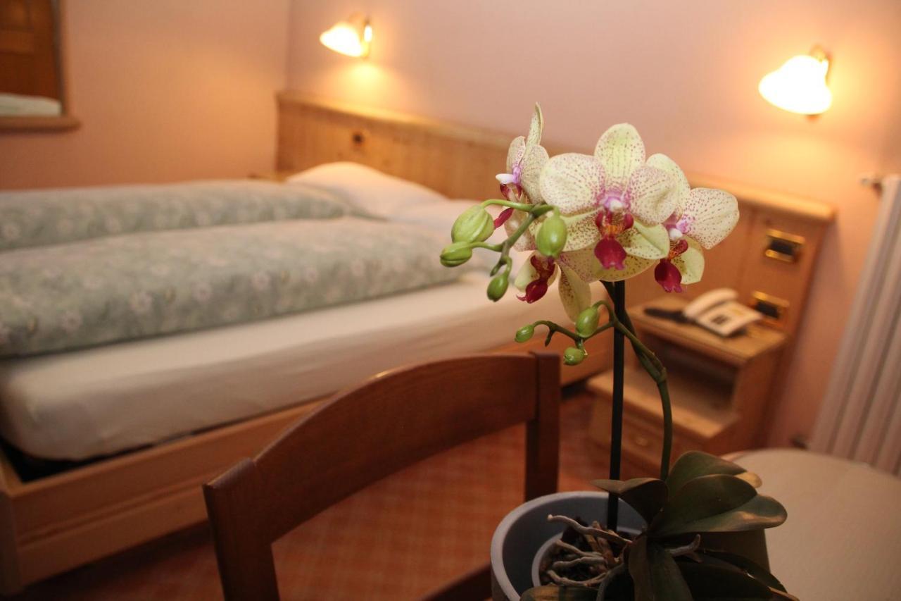 Hotel Caravasc - billede 1