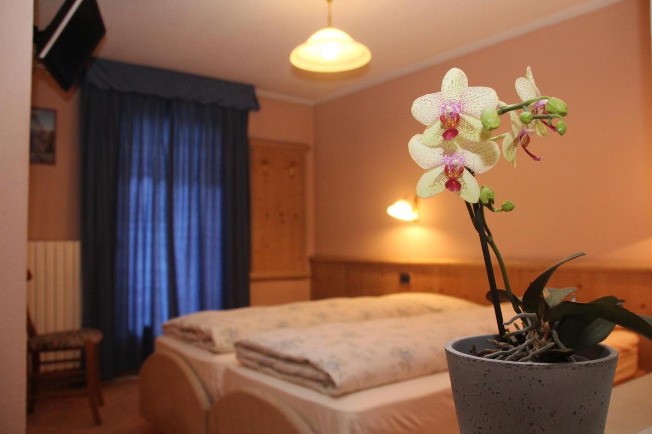 Hotel Caravasc - billede 2