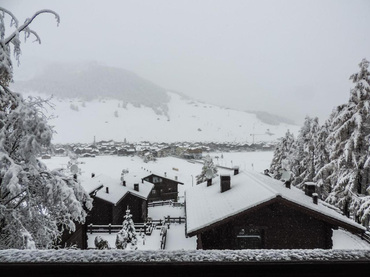 Silva: the Alpine Chalet - billede 4