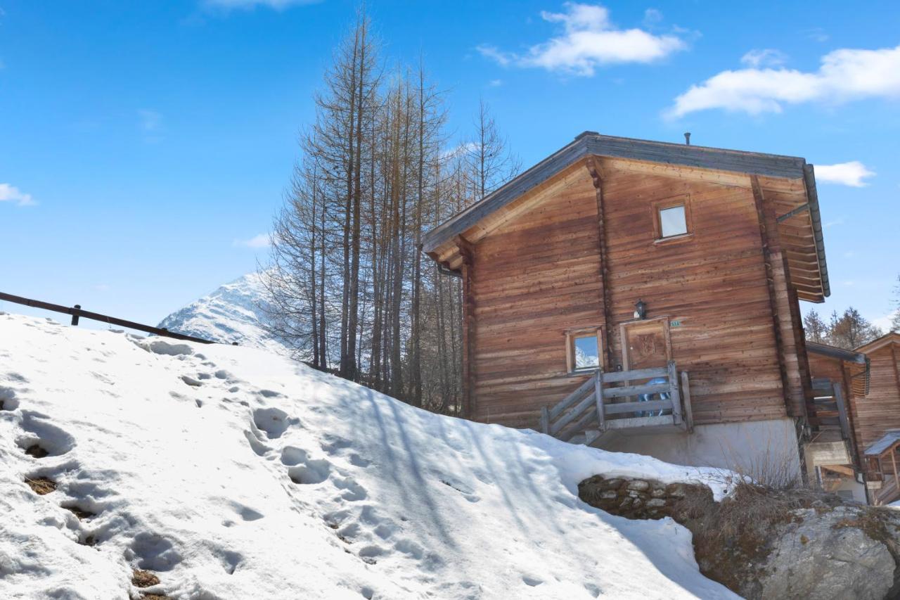 Magnifique Chalet Au Calme Et En Pleine Nature - billede 1