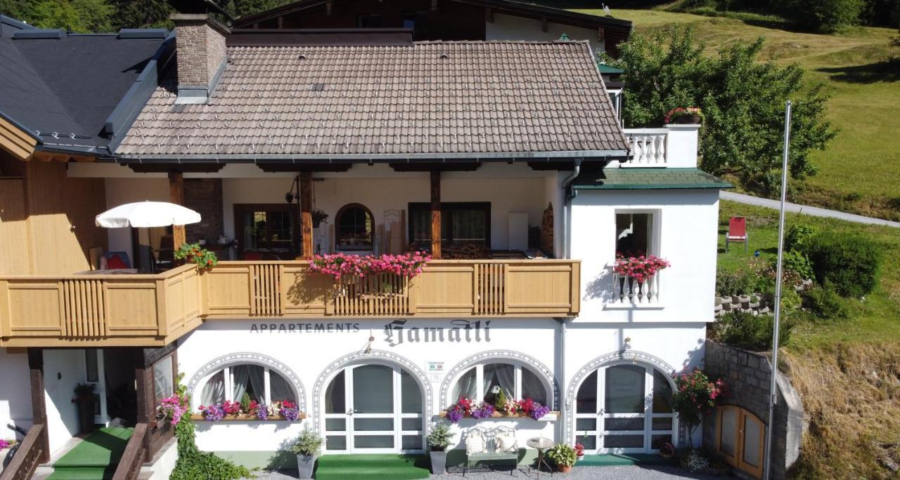 Haus Hamatli – billede 3