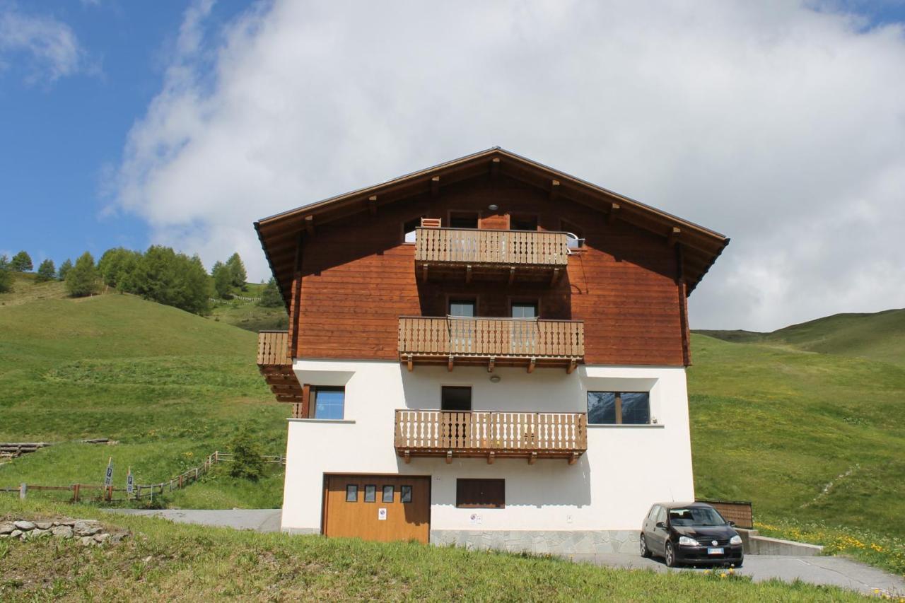 Apartment Il Nocciolo - billede 1