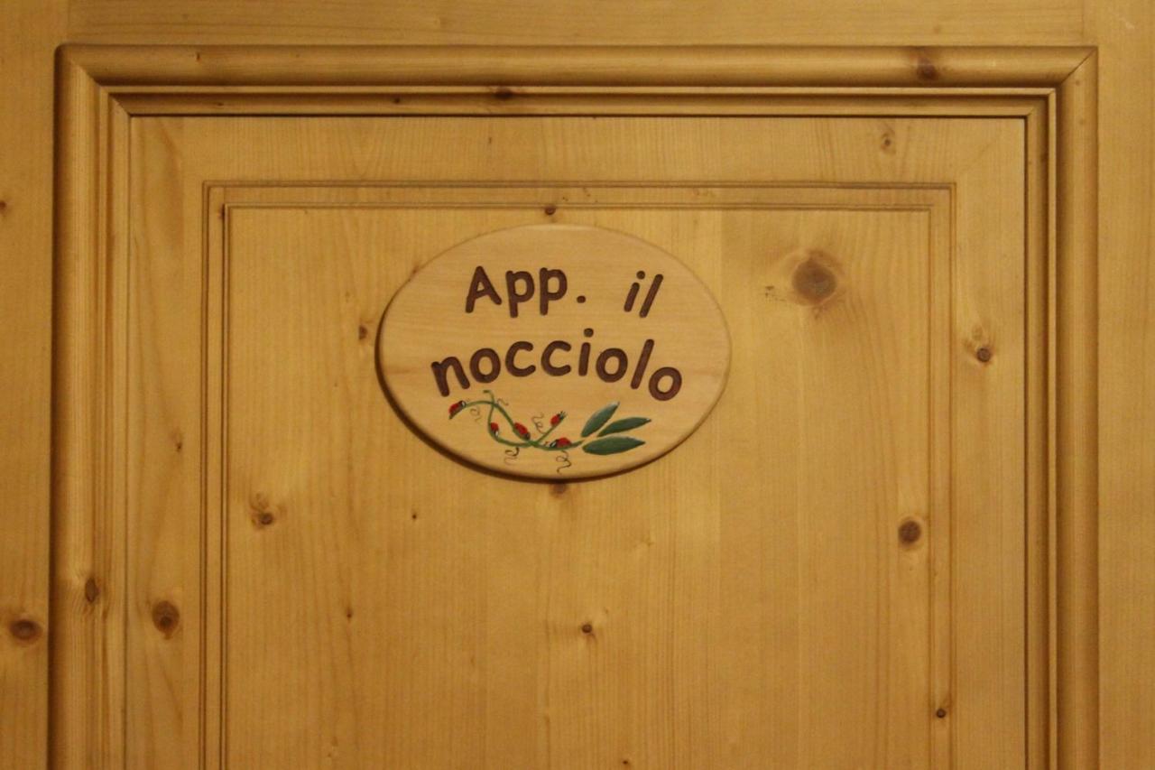 Apartment Il Nocciolo - billede 4