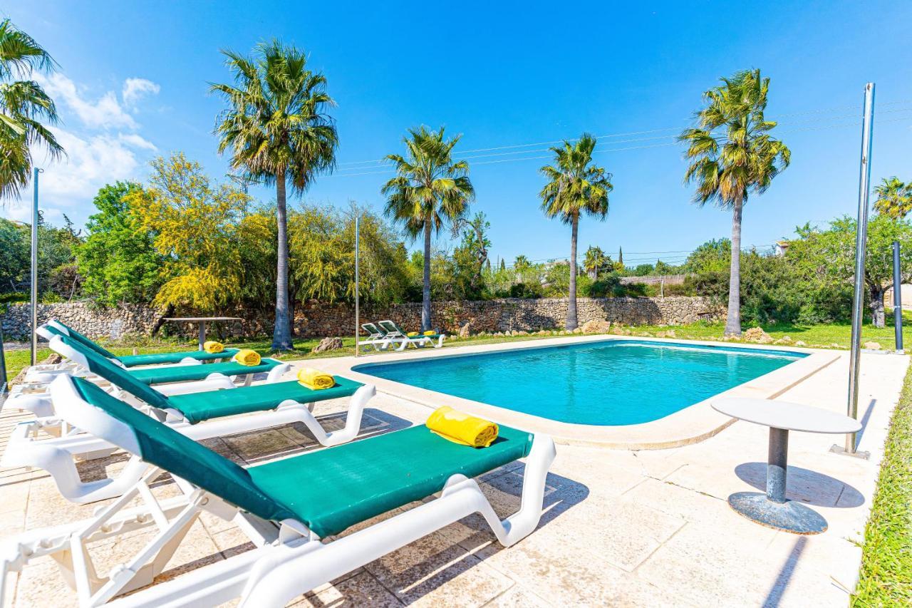 Villa Gallina Alcudia by Mallorca Villa Selection - billede 1