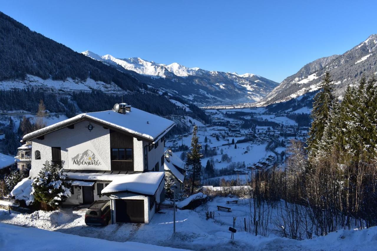 Ferienappartements Alpenwelt - billede 1