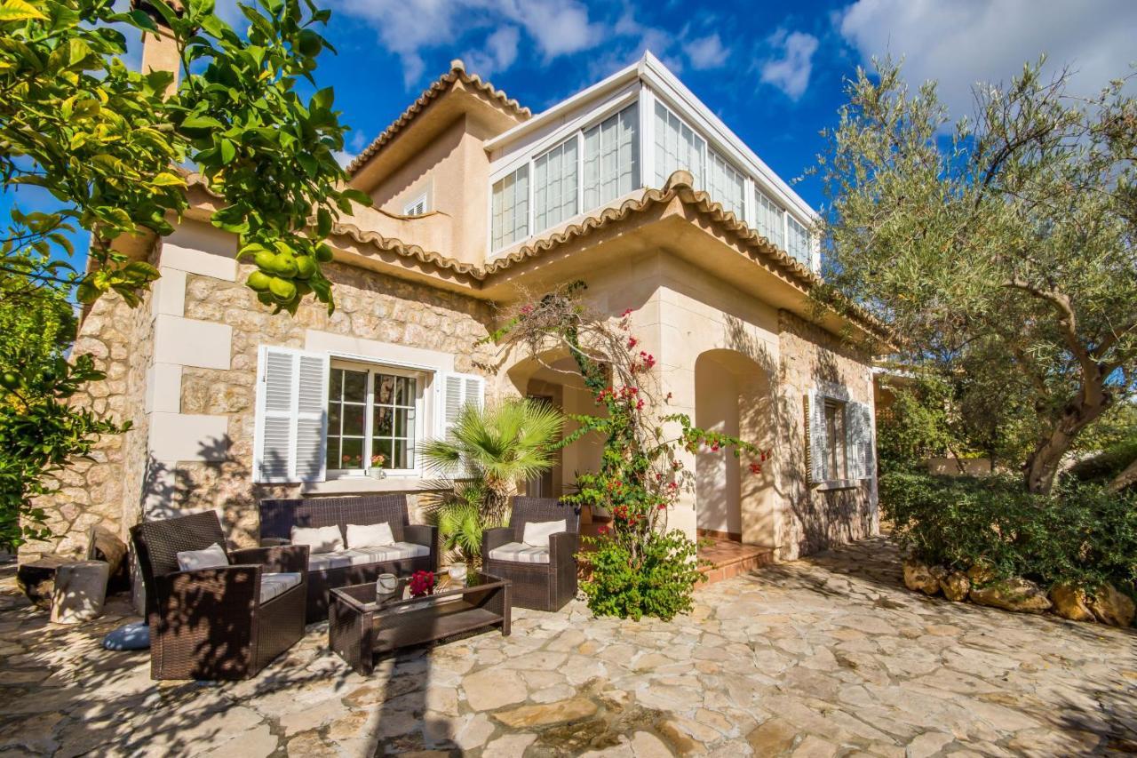 Ideal Property Mallorca - Can Olivo - billede 1
