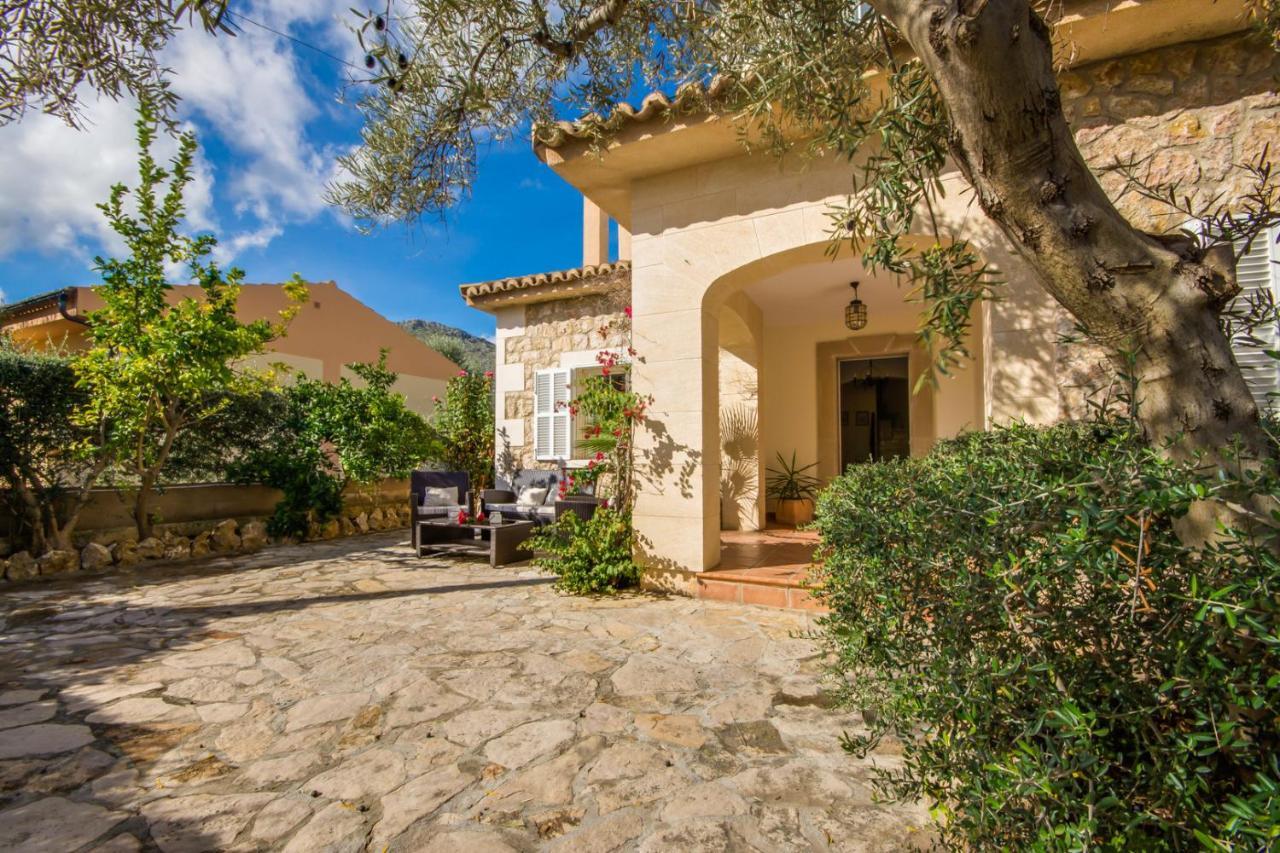 Ideal Property Mallorca - Can Olivo - billede 3