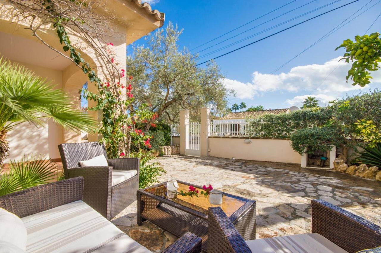 Ideal Property Mallorca - Can Olivo - billede 4