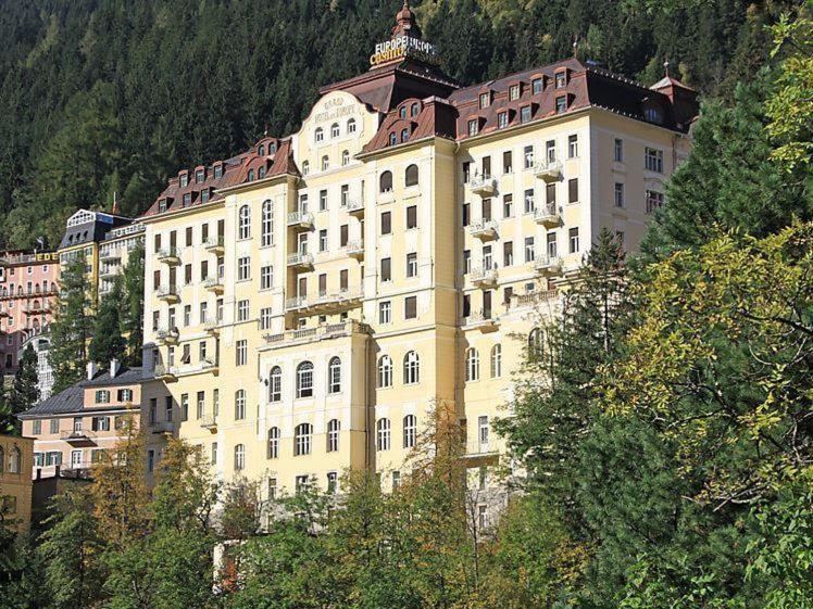Executive Apartement Gastein - billede 3