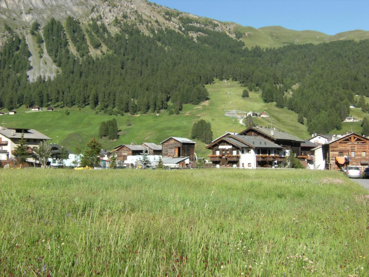 Residence Nevegall - billede 2