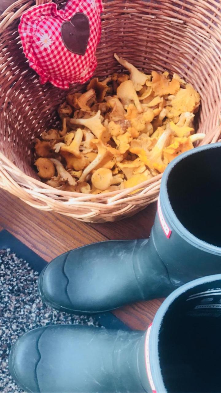 Malerwinkel, Forsthaus - billede 4