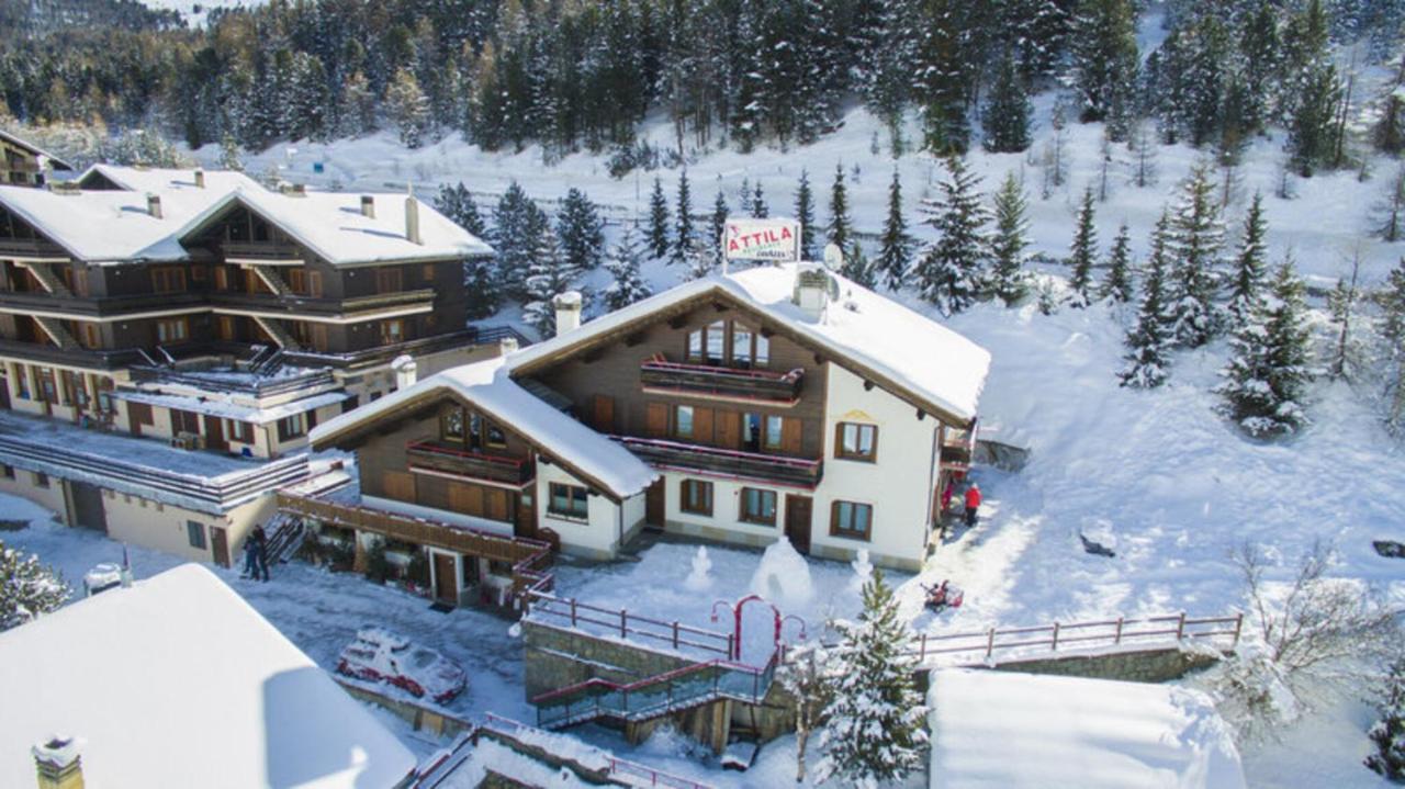 Residence Attila Giardino - billede 1
