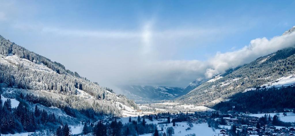 Chalet Bad Berg - billede 2