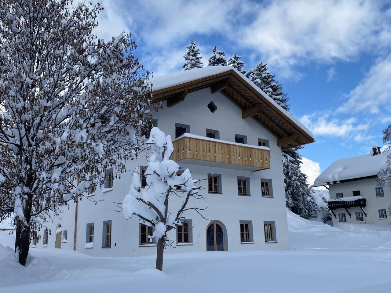 Chalet Silver Fox – billede 1