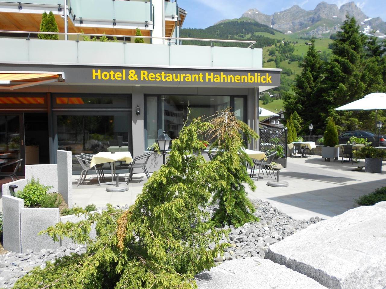 Hahnenblick – bild 2