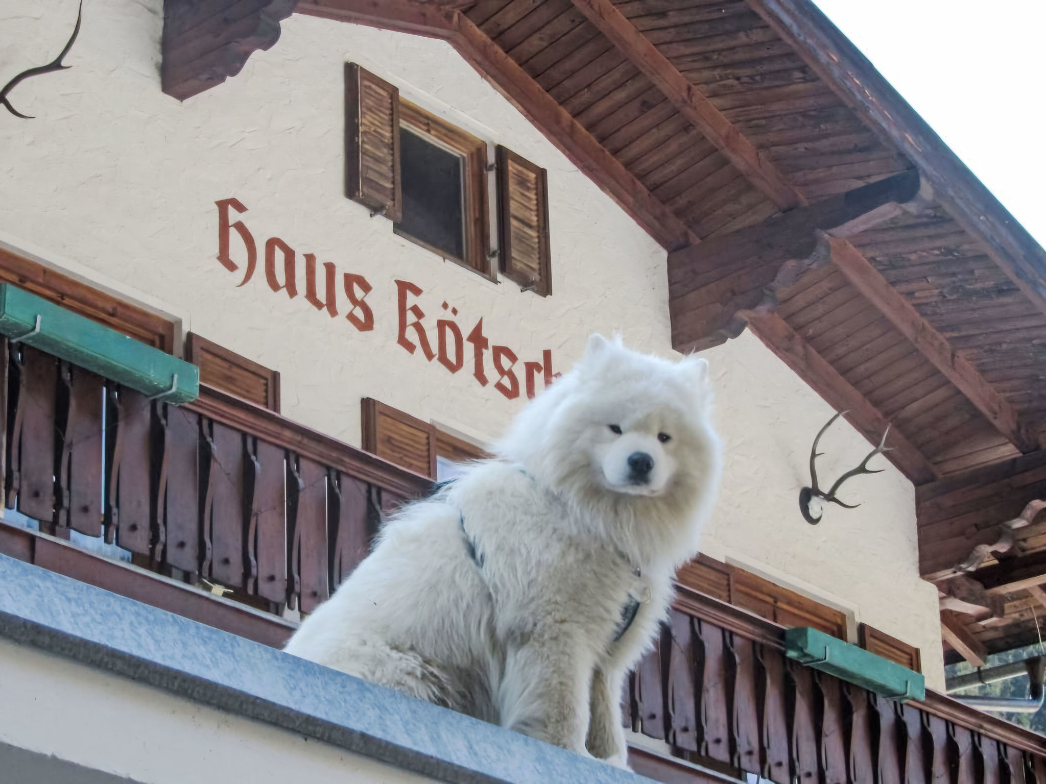 Haus Kötschach – billede 5