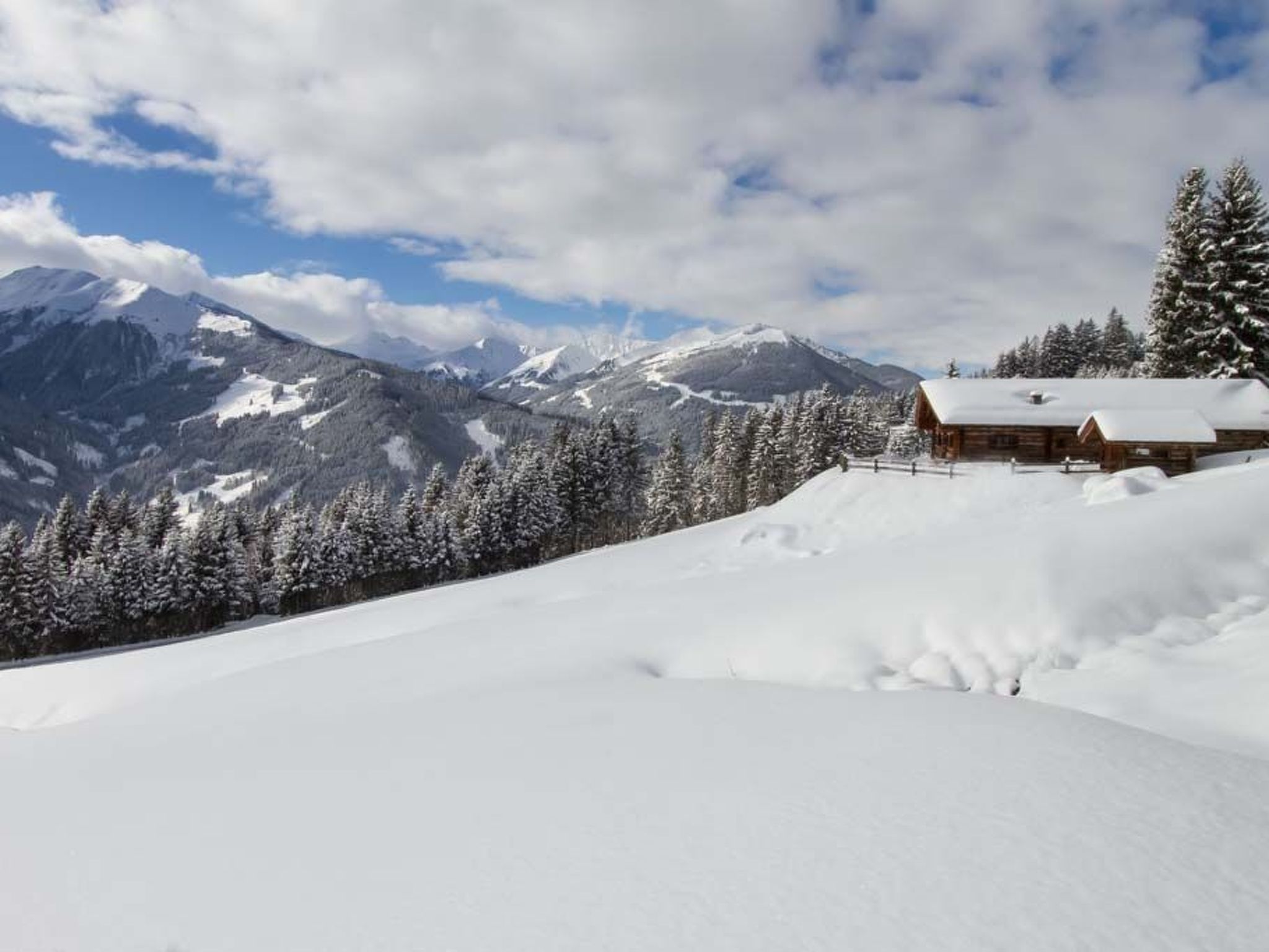 Remberghütte in Viehhofen - billede 2