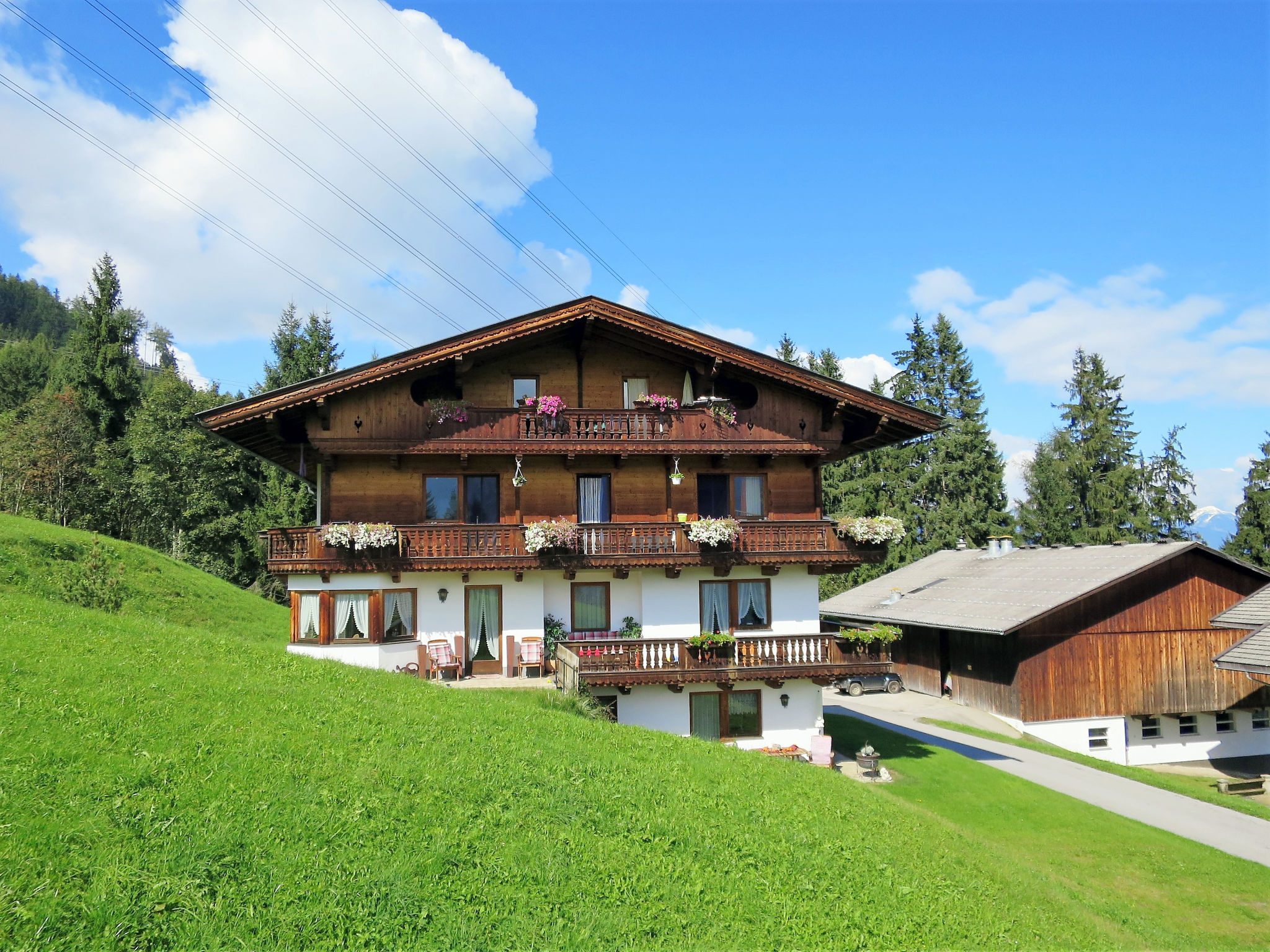 Luxner – billede 5