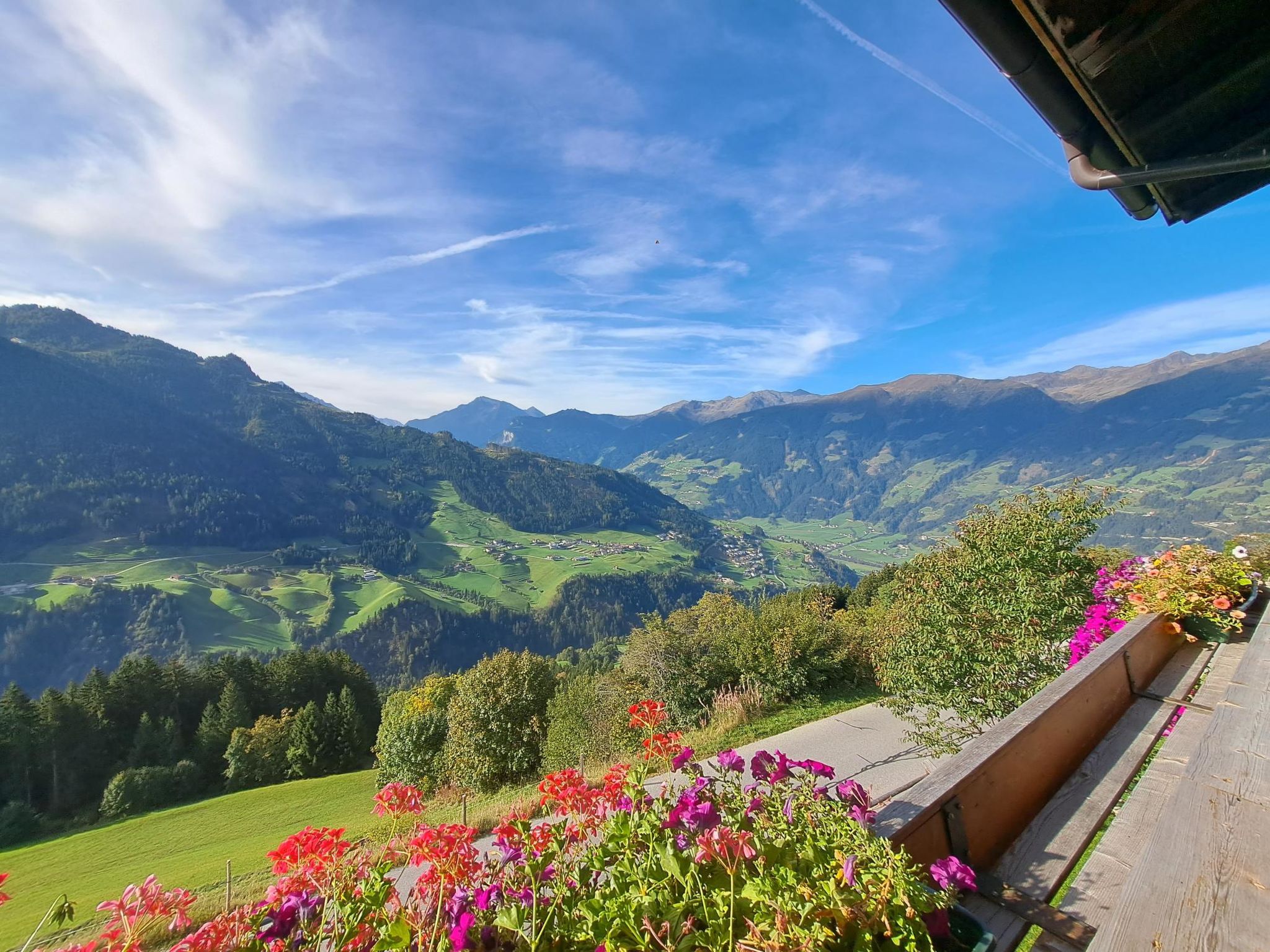 Alpenblick – billede 5