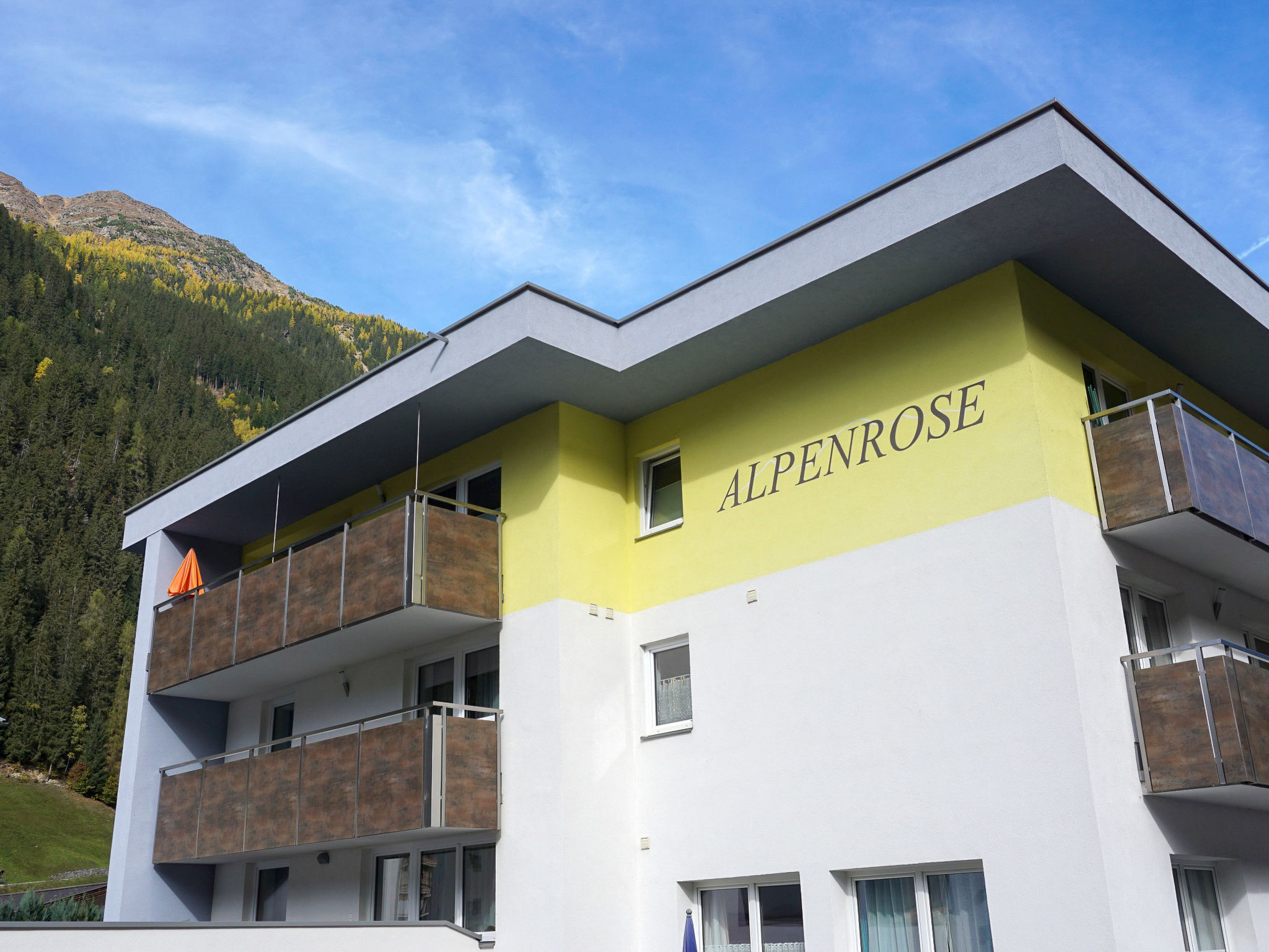 Alpenrose - billede 1