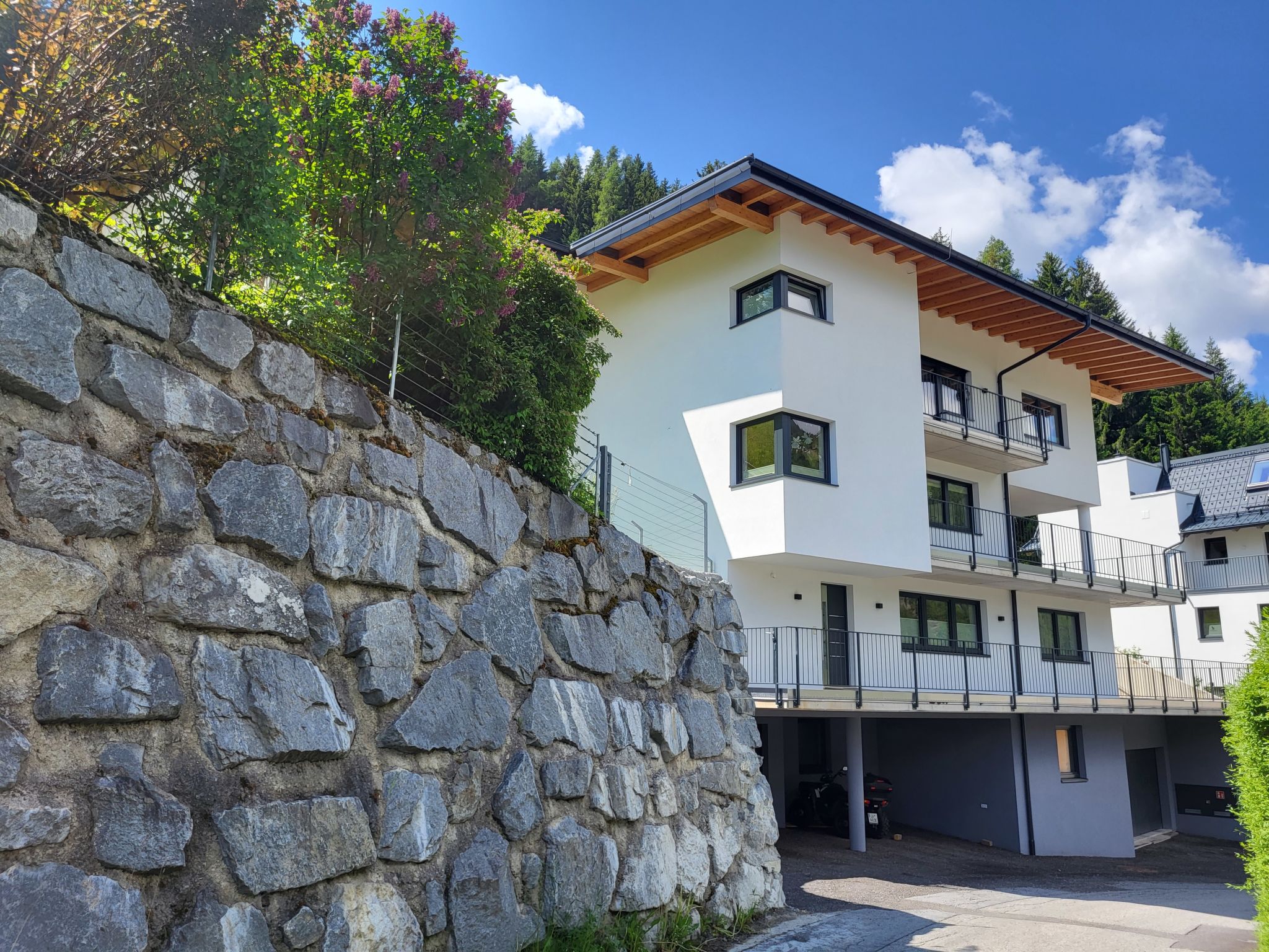 Bergblick - billede 1