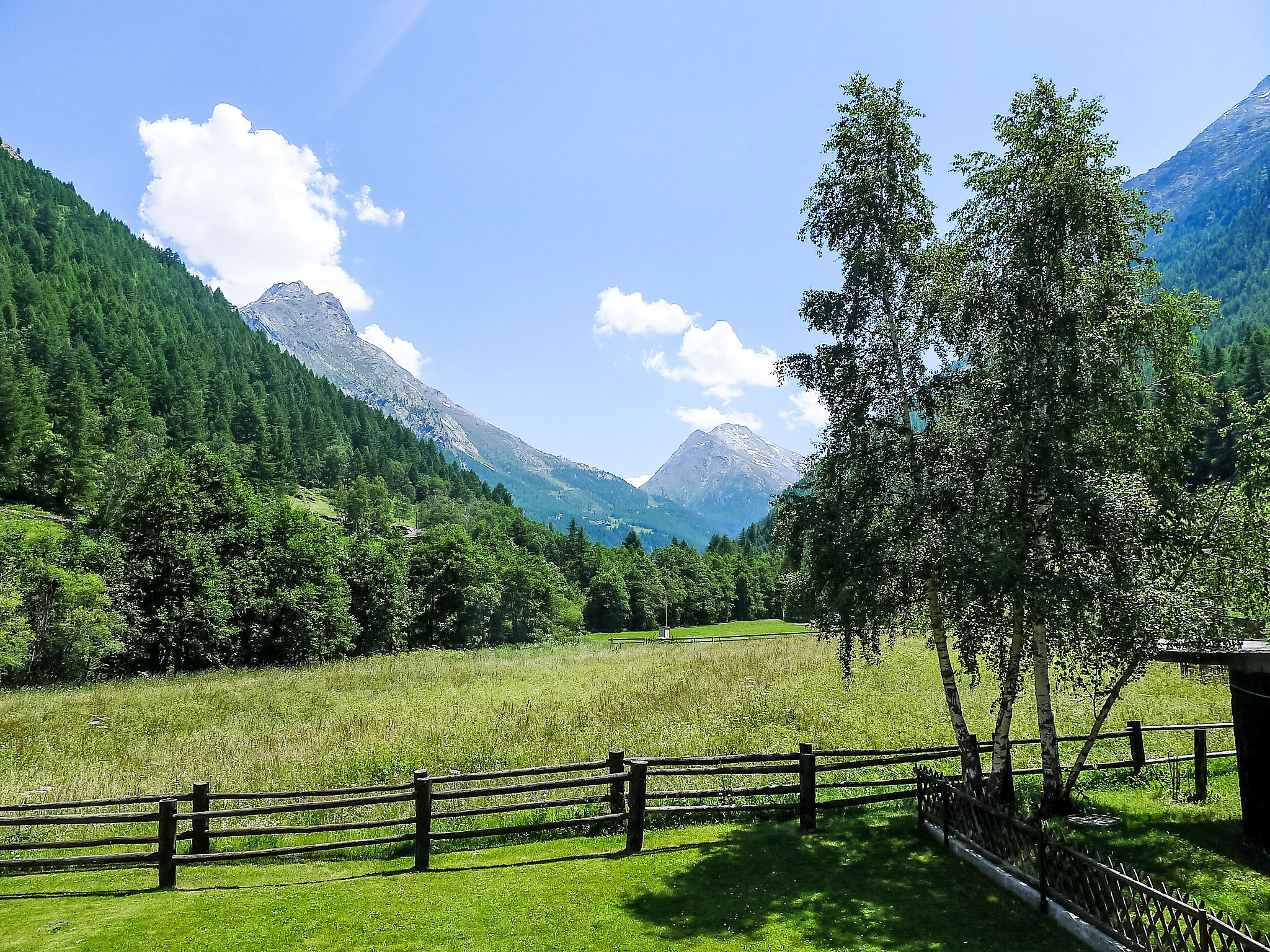 Amici – billede 5